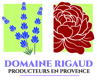DOMAINE RIGAUD